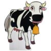 VACA LOLA  MDF